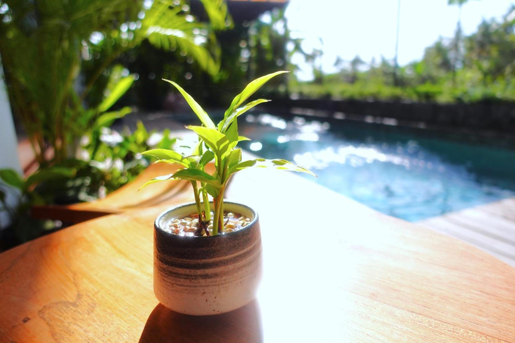 The Vinaya Boutique Hotel Ubud  Exterior photo