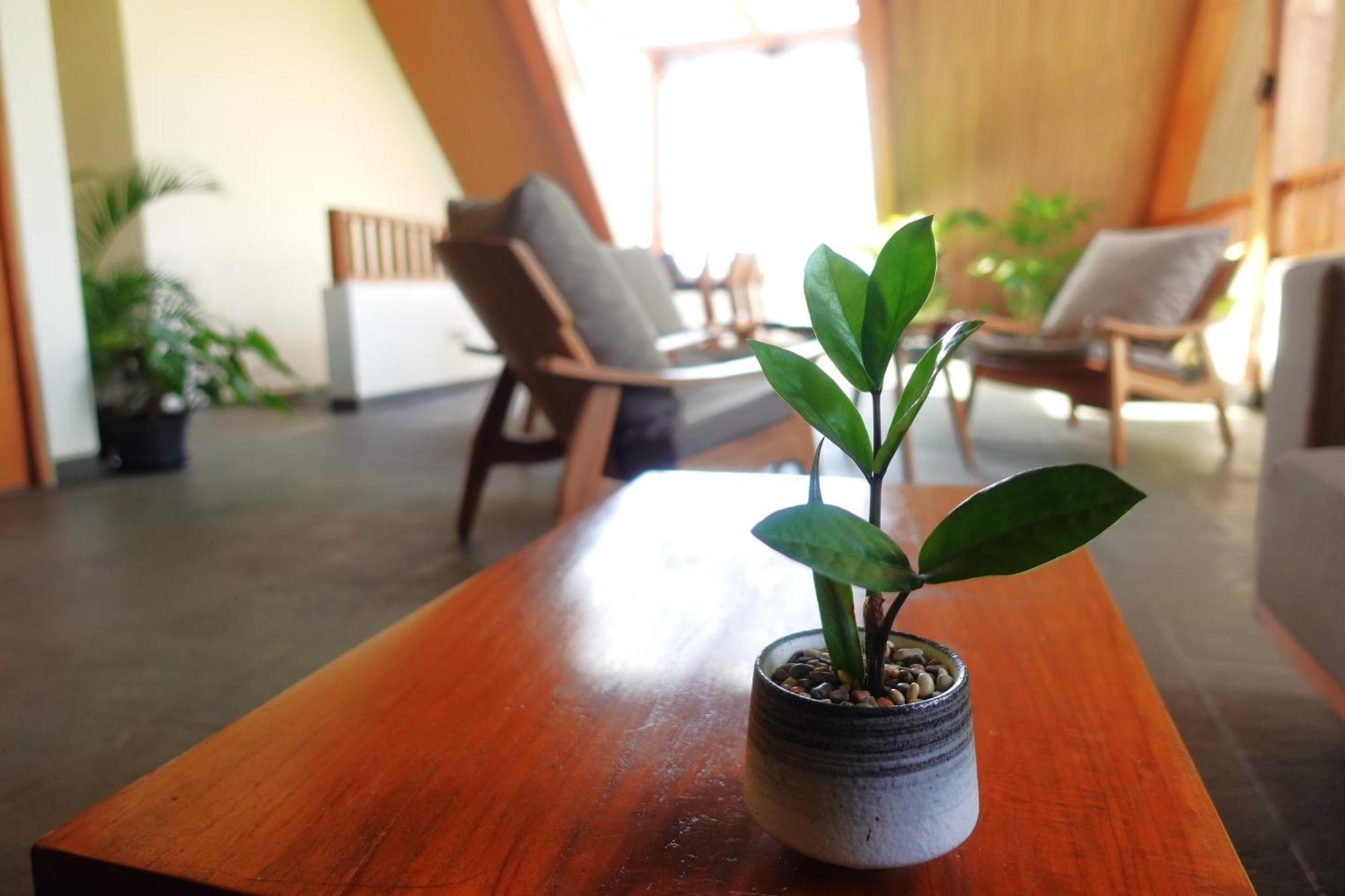 The Vinaya Boutique Hotel Ubud  Exterior photo