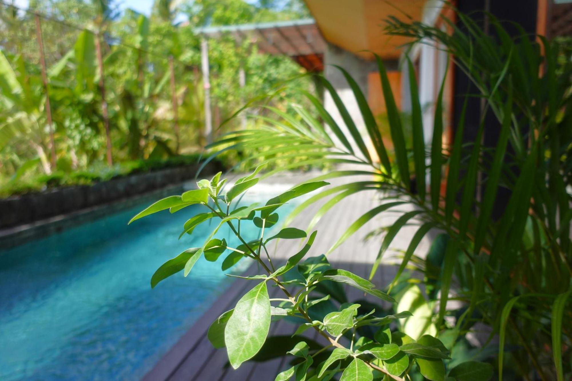 The Vinaya Boutique Hotel Ubud  Exterior photo